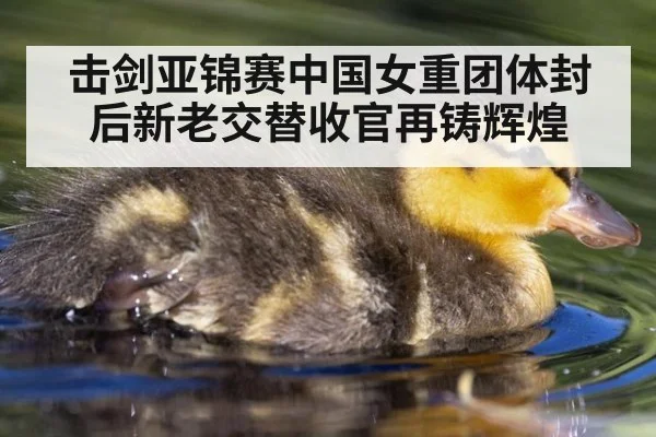 击剑亚锦赛中国女重团体封后新老交替收官再铸辉煌